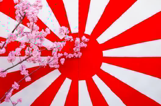 Japan flag with synthesis sakura flower photo