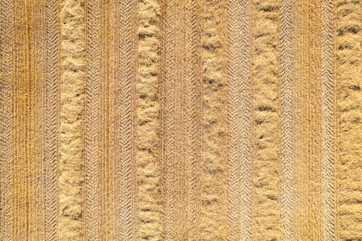 view of a recently harvested wheat field, aerial top view from a drone photo