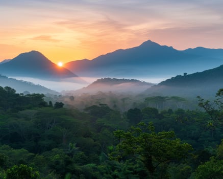 Sunrise Over Lush Mountains and Valley Shrouded in Mist photo