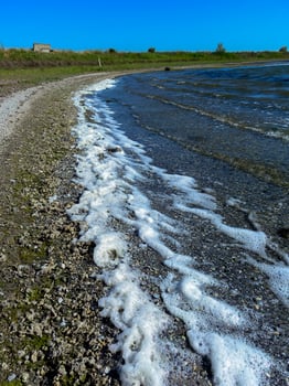 Dirty white foam washed ashore by the wind in the lower reaches of the Tiligul estuary, Ukraine photo
