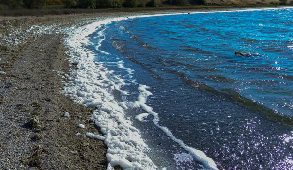 Dirty white foam washed ashore by the wind in the lower reaches of the Tiligul estuary, Ukraine photo