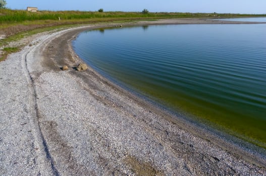 Coastline of bivalve shells of the salt lake of the Tiligul estuary, Ukraine photo