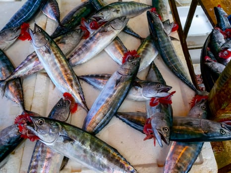 Sale of fish from the Black and Mediterranean Sea at the fish market in Trabzon photo