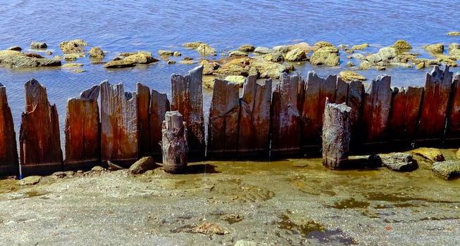 Wooden remains of salt pools, salt mining in the 18th century photo