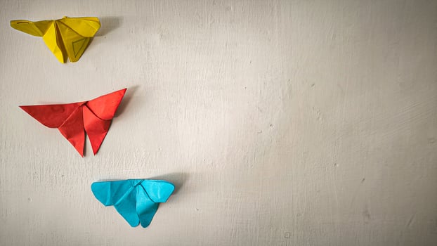 Three origami butterflies on a wall photo