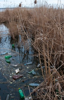 Environmental problem, garbage. Contamination with debris and plastic of natural reservoirs. Ukraine photo