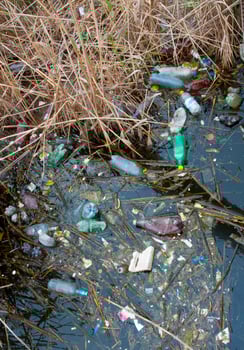 Environmental problem, garbage. Contamination with debris and plastic of natural reservoirs. Ukraine photo