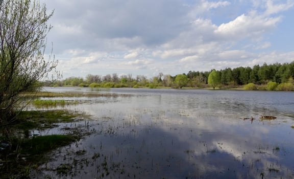 Reflection of clouds in the Pripyat River, the tributary of the Dnieper River, Ukraine photo