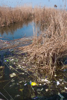 Plastic garbage on the shore in Hadzhibeysky estuary. Eutrophication of the reservoir, the problem of ecology photo
