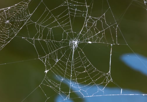 Spider web of the crosspiece above the water photo