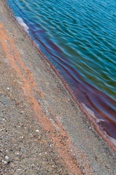 Accumulations of the salt-tolerant crustacean Artemia salina near the shore in a salt lake, Tiligul Liman photo