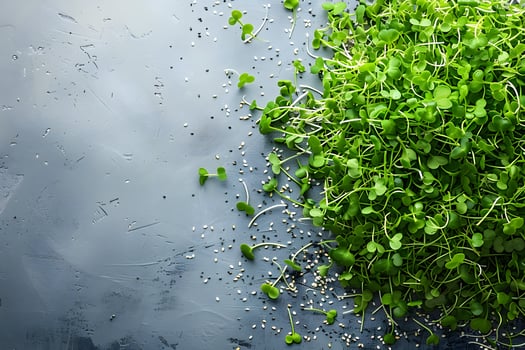 Fresh Microgreens on Rustic Gray Background for Healthy Eating and Nutrition Concepts photo