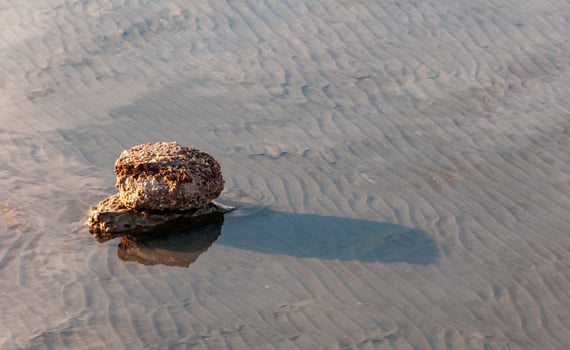Waves of sand at the bottom of the Kuyalnik estuary, where salt was mined in the 18th century photo