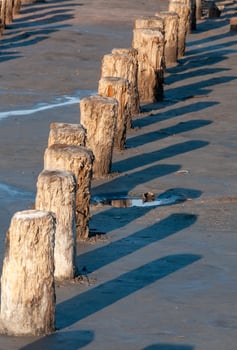 Self-settling salt on wooden logs. Hypersaline water in a drying lake, an environmental problem photo