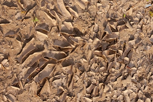 Dry cracked red clay in the desert in the bed of a dried up water stream, Egypt photo