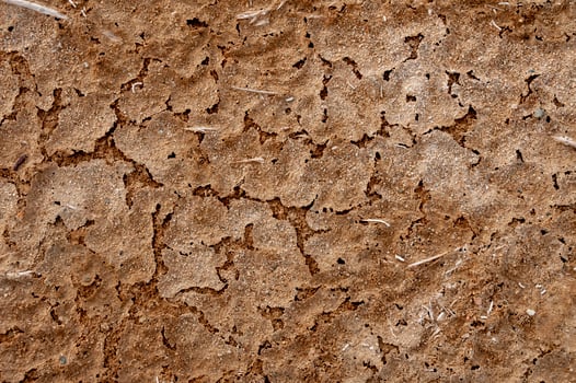 Dry cracked red clay with salt crystals in the desert in the bed of a dried up stream photo