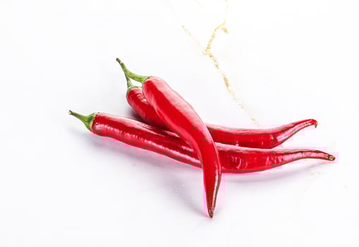 Hot and spicy chili pepper photo