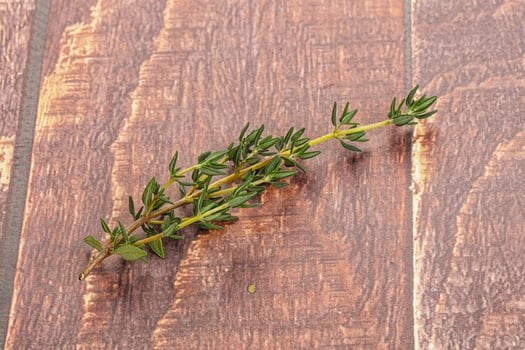 Aroma seasoning thyme stem with leaves photo