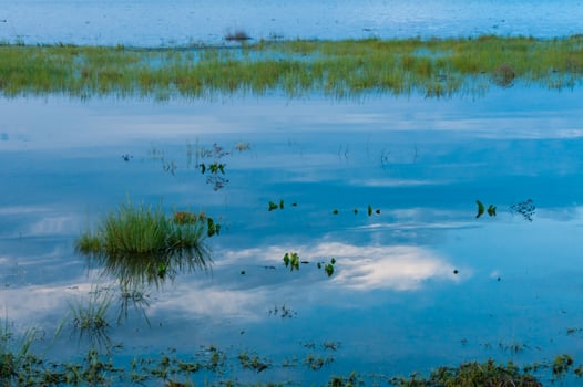 Summer landscape, reflection of clouds on shallow water in flat water Tiligul estuary, Ukraine photo