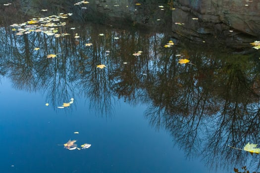 Reflection of trees in the calm water of the lake in Sofievsky Park in autumn photo