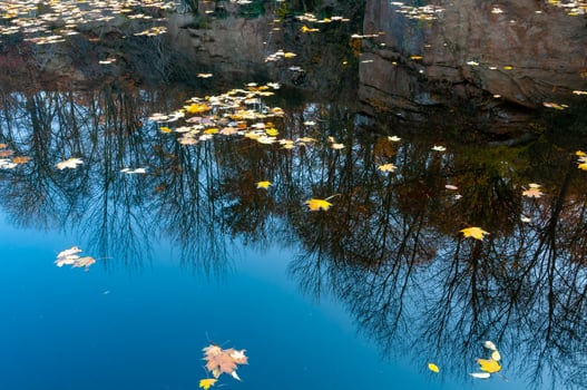 Autumn, yellow leaves sway on the water, reflections in the water. Sofievsky Park, Uman, Ukraine photo
