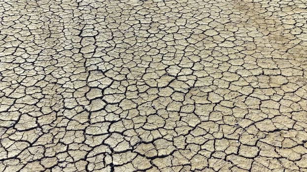 Dry cracked salty silt in the upper Kuyalnik estuary, Ukraine photo
