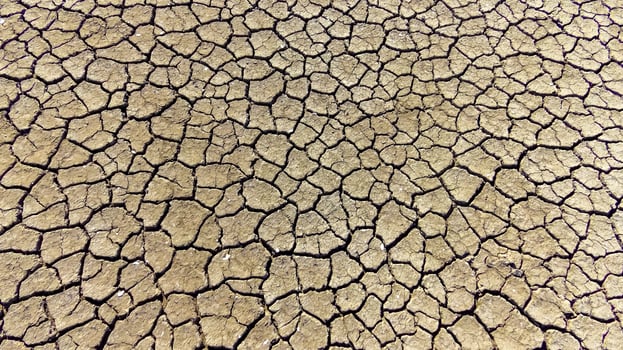 Dry cracked salty silt in the upper Kuyalnik estuary, Ukraine photo