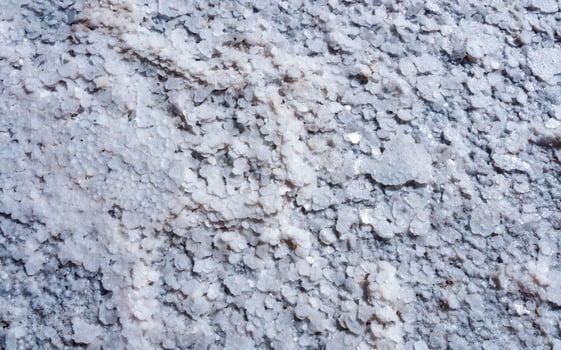 Crystallized salt on a muddy bottom in the upper Kuyalnitsky estuary. Kuyalnik Estuary, Ukraine photo