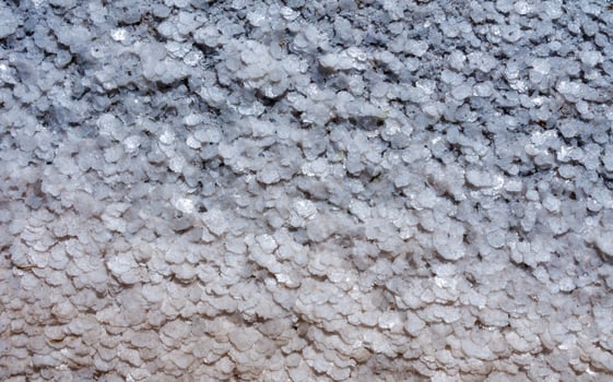 Crystallized salt on a muddy bottom in the upper Kuyalnitsky estuary. Kuyalnik Estuary, Ukraine photo