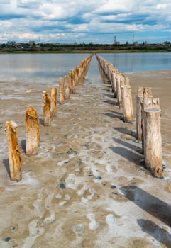 Salt Lake. Self-settling salt on wooden logs. Hypersaline water in a drying lake, an environmental problem. Ukraine photo