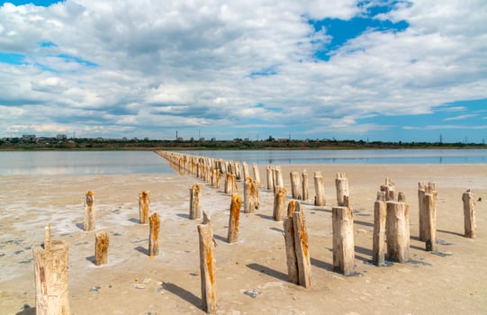 Salt Lake. Self-settling salt on wooden logs. Hypersaline water in a drying lake, an environmental problem. Ukraine photo