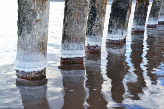 Ancient wooden piles in the Kuyalnitsky estuary, where self-sedimentary salt was mined from salt checks in the 18th century. photo