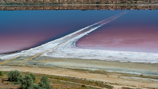 Salty Kuyalnik estuary with flowering water, Artemia salina and Dunaliella salina in the water. Self-settling salt sodium chloride photo