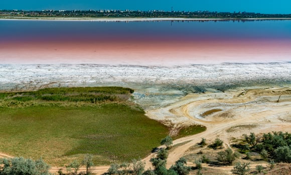 Salty Kuyalnik estuary with flowering water, Artemia salina and Dunaliella salina in the water. Self-settling salt sodium chloride photo