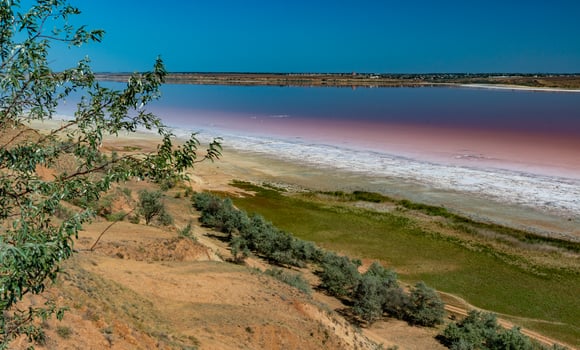 Salty Kuyalnik estuary with flowering water, Artemia salina and Dunaliella salina in the water. Self-settling salt sodium chloride photo