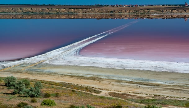Salty Kuyalnik estuary with flowering water, Artemia salina and Dunaliella salina in the water. Self-settling salt sodium chloride photo