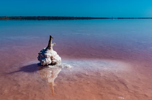 Salt Lake. Self-settling salt on wooden logs. Hypersaline water in a drying lake photo