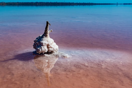 Salt Lake. Self-settling salt on wooden logs. Hypersaline water in a drying lake photo