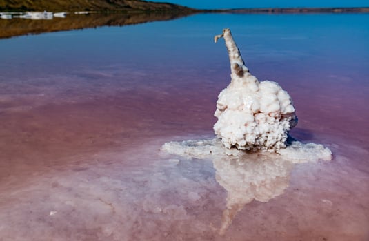 Salt Lake. Self-settling salt on wooden logs. Hypersaline water in a drying lake photo
