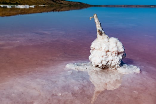 Salt Lake. Self-settling salt on wooden logs. Hypersaline water in a drying lake photo