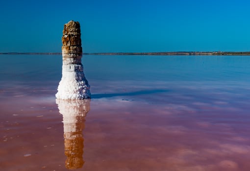 Salt Lake. Self-settling salt on wooden logs. Hypersaline water in a drying lake photo