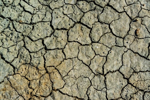 Hyperhaline Kuyalnik estuary. Dry cracked therapeutic mud at the bottom of a drying reservoir photo