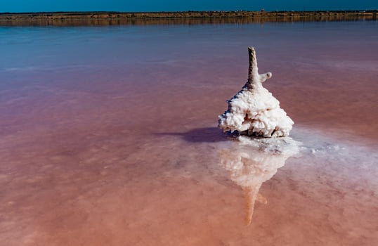 Salt Lake. Self-settling salt on wooden logs. Hypersaline water in a drying lake photo