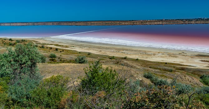 Salty Kuyalnik estuary with flowering water, Artemia salina and Dunaliella salina in the water. Self-settling salt sodium chloride photo