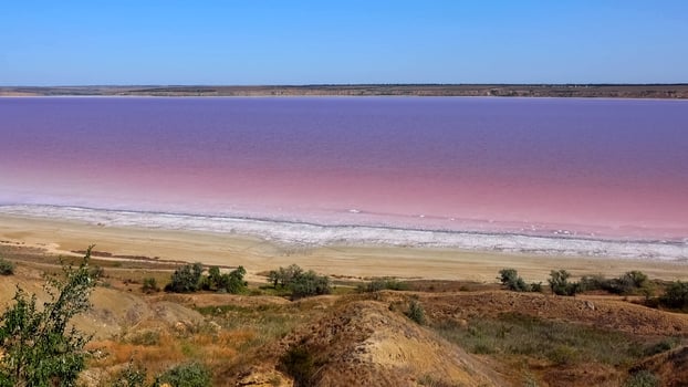 Kuyalnik estuary, Black Sea. Rose water in the estuary, salt water from Artemia and Dunaliella photo