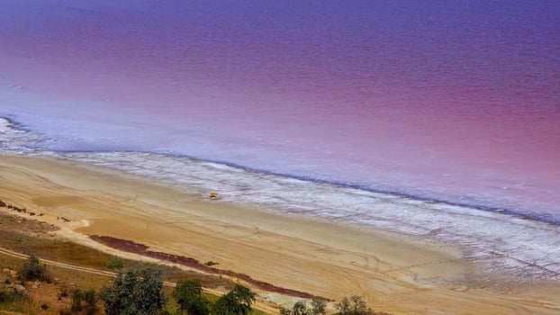 Kuyalnik estuary, Black Sea. Rose water in the estuary, salt water from Artemia and Dunaliella photo