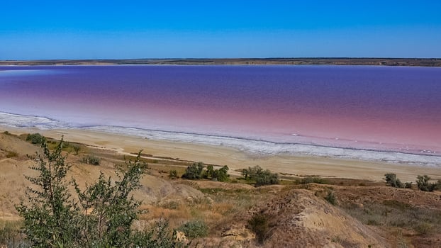 Kuyalnik estuary, Black Sea. Rose water in the estuary, salt water from Artemia and Dunaliella photo