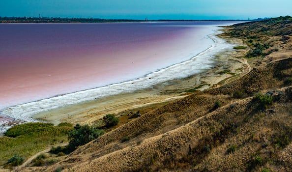 Natural landscape of the south of Ukraine, View of the drying Kuyalnitsky estuary with rose water, in which Artemia salina and Dunaliella algae live photo