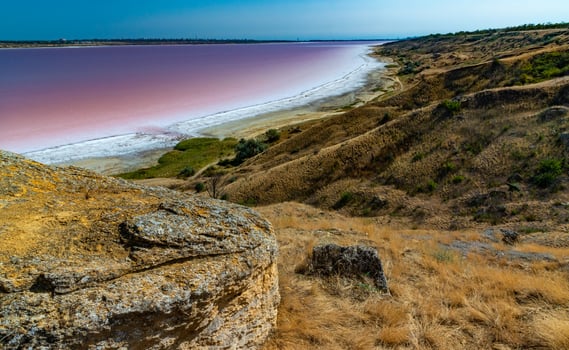 Natural landscape of the south of Ukraine, View of the drying Kuyalnitsky estuary with rose water, in which Artemia salina and Dunaliella algae live photo