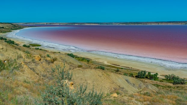 Natural landscape of the south of Ukraine, View of the drying Kuyalnitsky estuary with rose water, in which Artemia salina and Dunaliella algae live photo